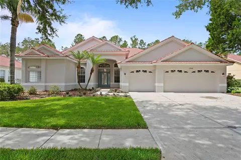 17858 Arbor Greene Dr, Tampa, FL 33647