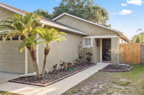 8423 Deer Chase Dr, Riverview, FL 33578