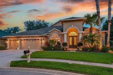 19814 Glazing Globe Ln, Lutz, FL 33558