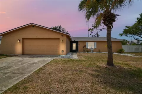 3901 Briarlake Dr, Valrico, FL 33596