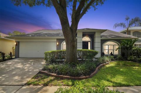 9309 Hampshire Park Dr, Tampa, FL 33647