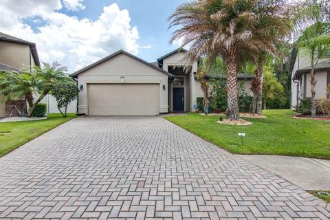 9901 Spice Bush Ct, Tampa, FL 33647