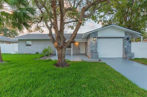 8225 Fishhawk Ave, New Port Richey, FL 34653