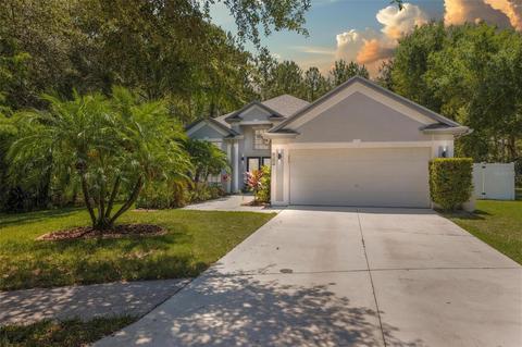 8282 Swann Hollow Dr, Tampa, FL 33647