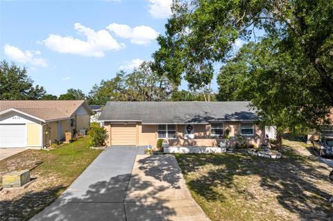 8512 Caladesi Island Dr, Temple Terrace, FL 33637