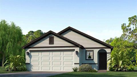 6310 Distant Haze Pl, Palmetto, FL 34221