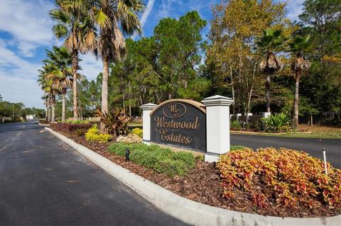 8541 Woodleaf Blvd, Wesley Chapel, FL 33544