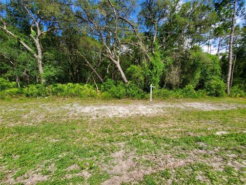 Treiman Boulevard, Webster, FL 33597