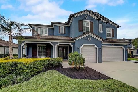 18317 Leafmore St, Lutz, FL 33548