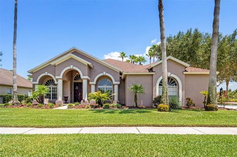 18201 Wimbledon Green Pl, Tampa, FL 33647