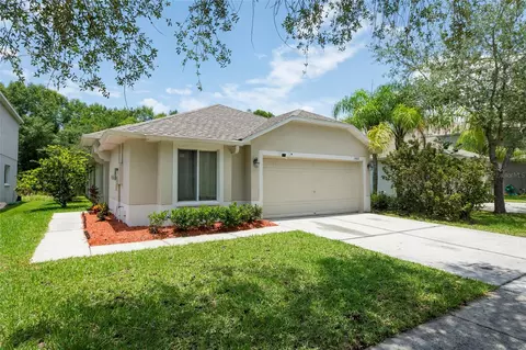 18112 Sandy Pointe Dr, Tampa, FL 33647