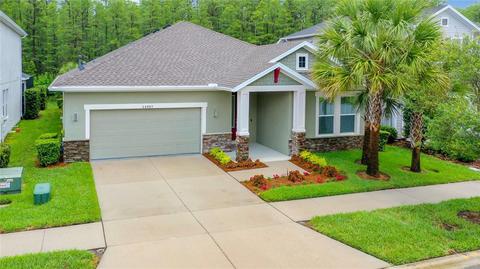 14987 Renaissance Ave, Odessa, FL 33556