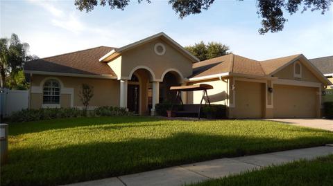10021 Remington Dr, Riverview, FL 33578 photo 1