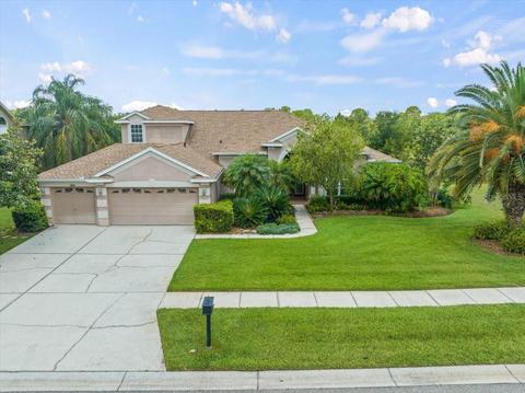 18916 Chaville Rd, Lutz, FL 33558