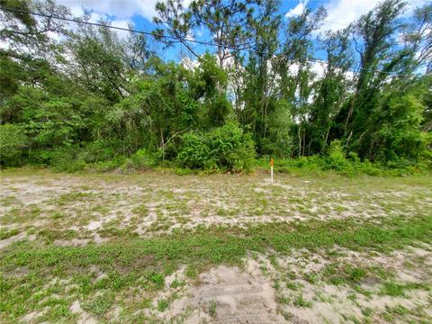 Treiman Boulevard, Webster, FL 33597