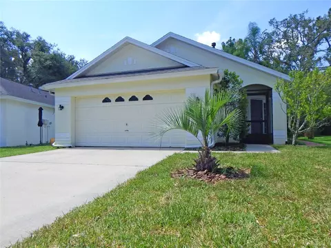 5815 Meadowpark Pl, Lithia, FL 33547