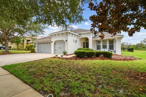 15651 Starling Water Dr, Lithia, FL 33547