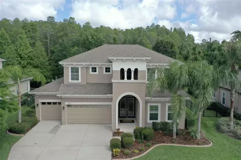 19329 Autumn Chase Ct, Land O Lakes, FL 34638