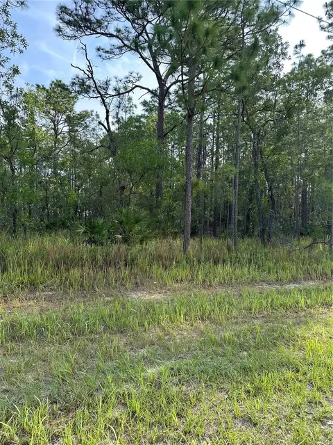 11375 Chickadee Rd, Weeki Wachee, FL 34614