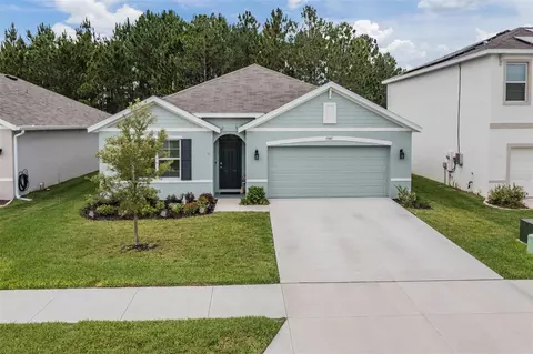 15487 Black Pepper, Odessa, FL 33556