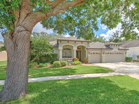 2038 Wexford Green Dr, Valrico, FL 33594