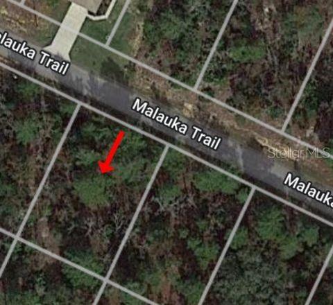 Tbd Malauka Trail, Ocklawaha, FL 32179