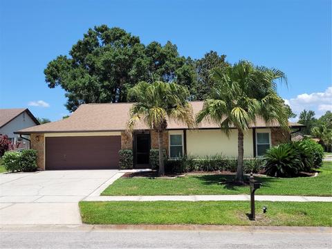 13601 Cozy Pl, Tampa, FL 33625