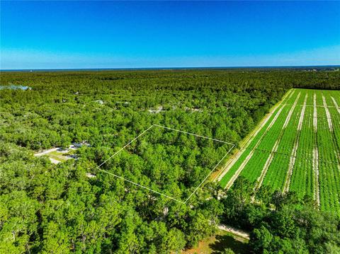 Ne 75th Street, Bronson, FL 32621
