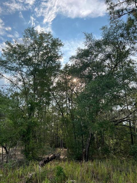 232 Locust Pass Ln, Ocala, FL 34472