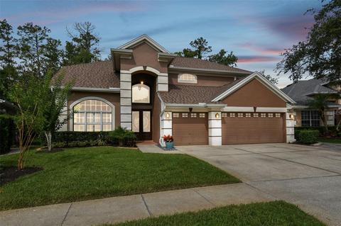 10428 Greenmont Dr, Tampa, FL 33626