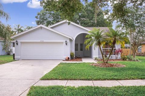 19518 Wyndmill Cir, Odessa, FL 33556