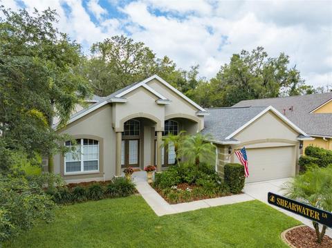 15131 Shearcrest Dr, Lithia, FL 33547
