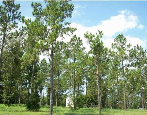35920 Ramsey Ridge Dr, Dade City, FL 33523