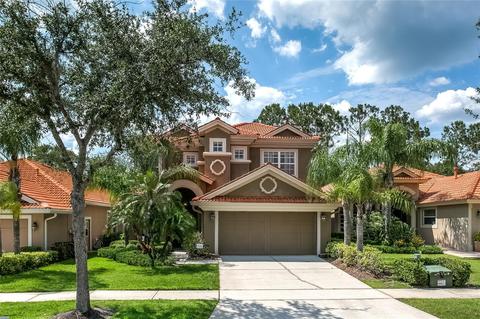 14506 Mirasol Manor Ct, Tampa, FL 33626