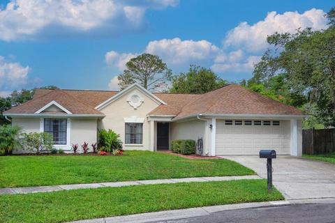 9546 Pebble Glen Ave, Tampa, FL 33647