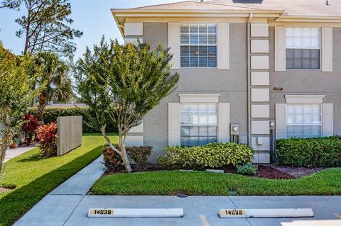 14039 Notreville Way, Tampa, FL 33624