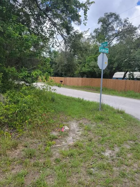 Burton Street, New Port Richey, FL 34654