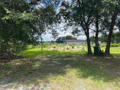 Martin Luther King Jr Street, Dundee, FL 33838