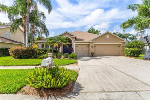 14104 Vanguard Way, Odessa, FL 33556