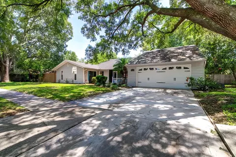 17704 Rivendel Rd, Lutz, FL 33549