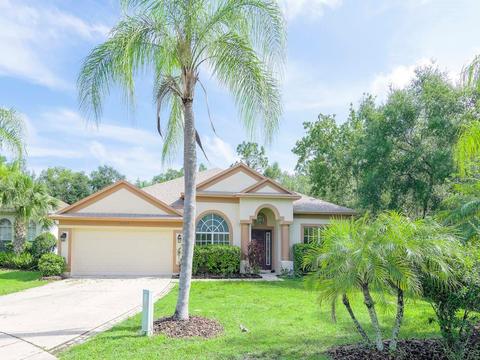 23223 Emerson Way, Land O Lakes, FL 34639
