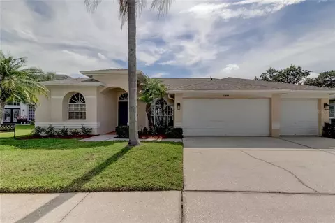 15808 Muirfield Dr, Odessa, FL 33556