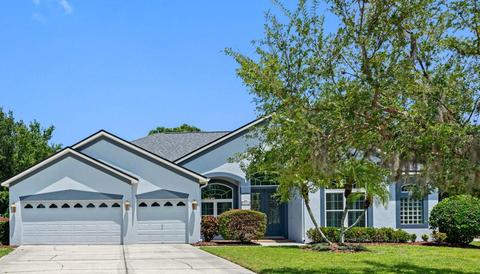 15842 Berea Dr, Odessa, FL 33556