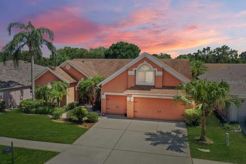 4311 Buckhorn Groves Ct, Valrico, FL 33596