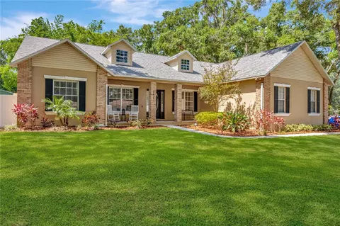 13317 Sullivan Manor Ct, Dover, FL 33527