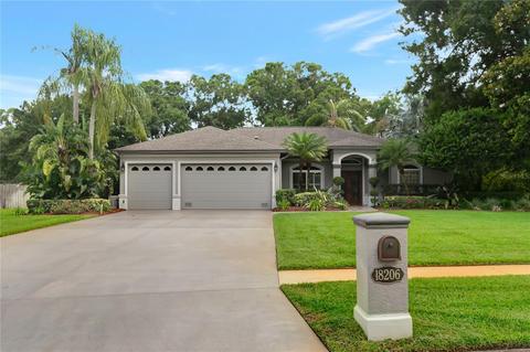 18206 Keystone Grove Blvd, Odessa, FL 33556