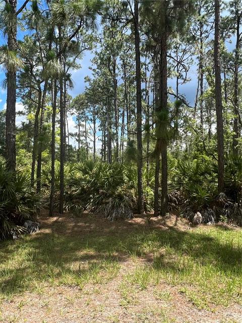 914 Gaillardia Dr, Indian Lake Estates, FL 33855