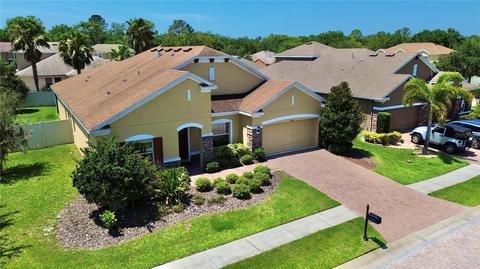 22341 Bartholdi Cir, Land O Lakes, FL 34639
