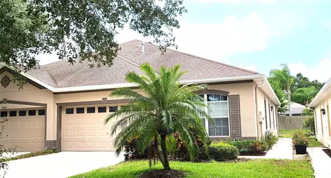 6907 Surrey Oak Dr, Apollo Beach, FL 33572