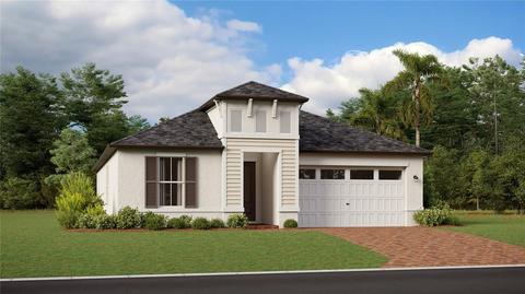 22554 Storybook Cabin Way, Land O Lakes, FL 34637
